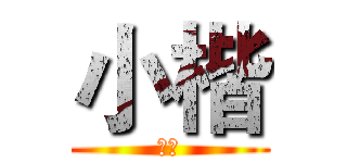 小楷 (小楷)