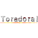 Ｔｏｒａｄｏｒａ！ (Taiga)