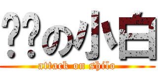 进击の小白 (attack on shilo)