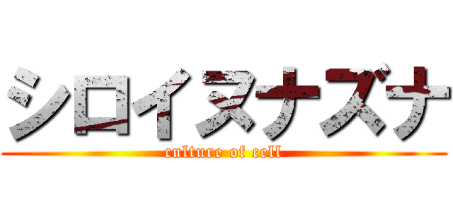 シロイヌナズナ (culture of cell)