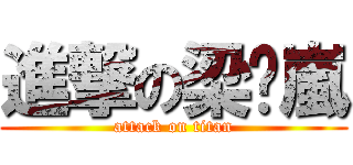 進撃の梁焯嵐 (attack on titan)