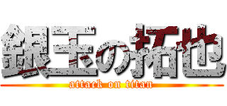 銀玉の拓也 (attack on titan)