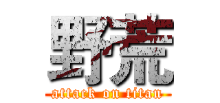 野荒 (attack on titan)