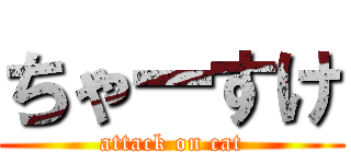 ちゃーすけ (attack on cat)