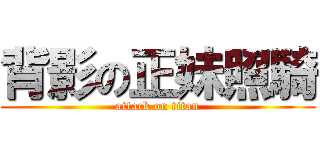 背影の正妹照騎 (attack on titan)