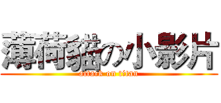 薄荷貓の小影片 (attack on titan)