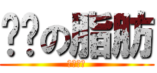 优质の脂肪 (减肥吧！)