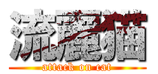 流麗猫 (attack on cat)