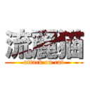 流麗猫 (attack on cat)