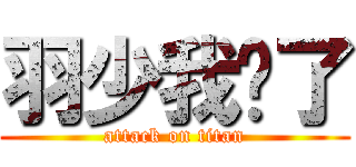 羽少我错了 (attack on titan)