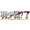 羽少我错了 (attack on titan)