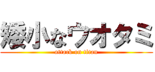 矮小なウオタミ (attack on titan)