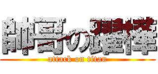 帥哥の躍樺 (attack on titan)