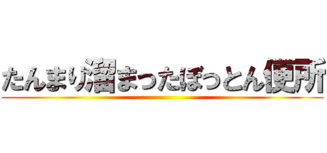 たんまり溜まったぼっとん便所 ()
