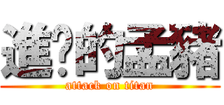 進擊的孟豬 (attack on titan)