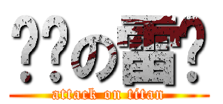 帅帅の雷酱 (attack on titan)