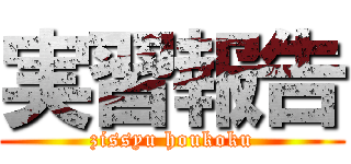 実習報告 (zissyu houkoku)