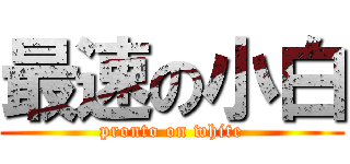 最速の小白 (pronto on white)