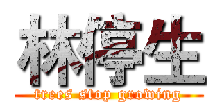 林停生 (trees stop growing)