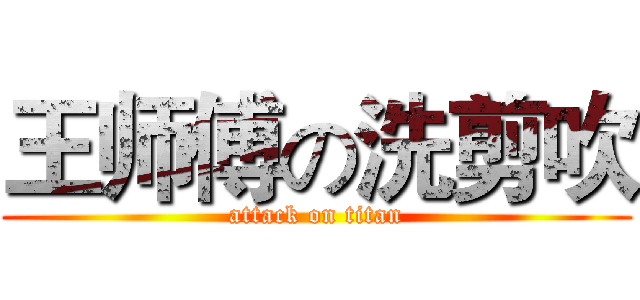 王师傅の洗剪吹 (attack on titan)