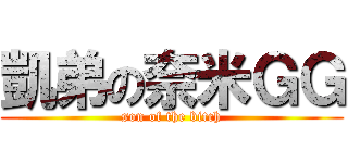 凱弟の奈米ＧＧ (son of the bitch)