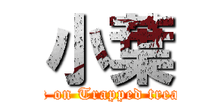 小葉 (attack on Trapped treasure)