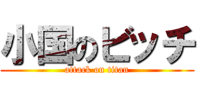小国のビッチ (attack on titan)