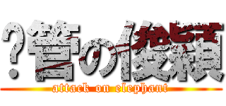 甩管の俊穎 (attack on elephant)