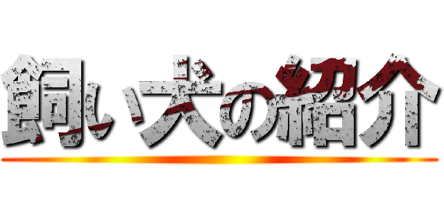 飼い犬の紹介 ()