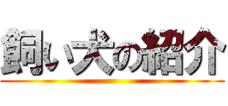 飼い犬の紹介 ()