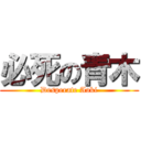 必死の青木 (Desperate Aoki)