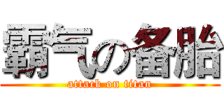 霸气の备胎 (attack on titan)