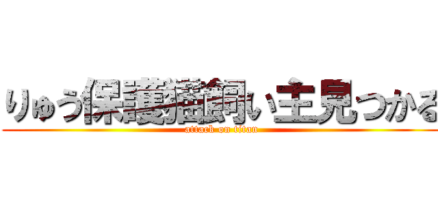 りゅう保護猫飼い主見つかる (attack on titan)