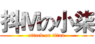 抖Ｍの小柒 (attack on titan)