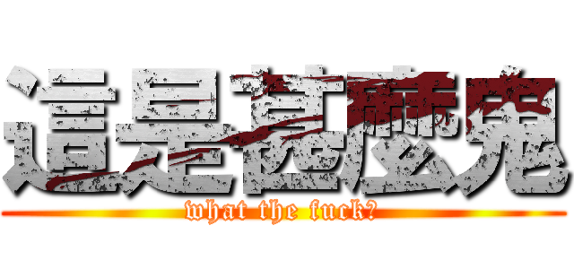 這是甚麼鬼 (what the fuck?)