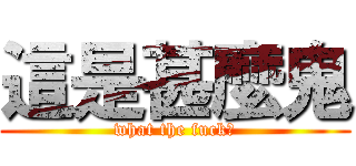 這是甚麼鬼 (what the fuck?)