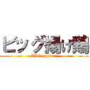 ビッグ揚げ鶏 (BIG agedori)