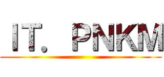 ＩＴ．ＰＮＫＭ ()