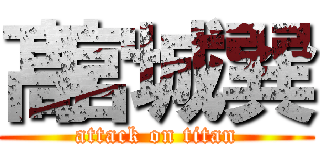 髙宮城巽 (attack on titan)