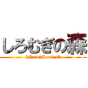 しろむぎの森 (〜New　Series〜)