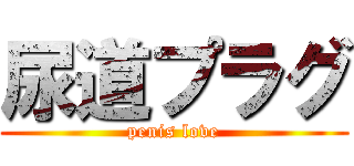 尿道プラグ (penis love)