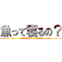 魚って寝るの？ (attack on titan)