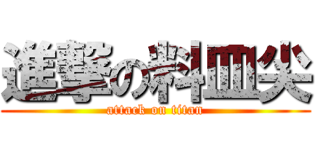 進撃の料皿尖 (attack on titan)