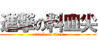 進撃の料皿尖 (attack on titan)