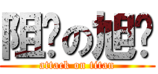 阻击の旭辉 (attack on titan)