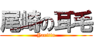 尾崎の耳毛 (Yaritin)