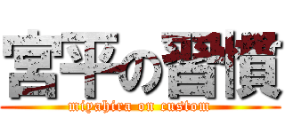 宮平の習慣 (miyahira on custom)