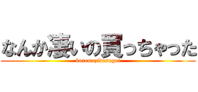 なんか凄いの買っちゃった (koremazidesugoi)