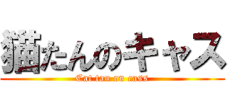 猫たんのキャス (Cat tan on cass)