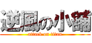 逆風の小舖 (attack on titan)